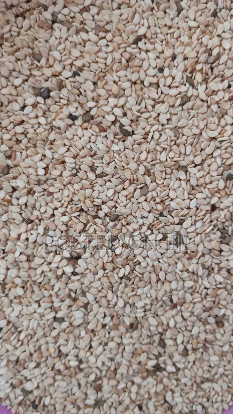 Sesame Seeds 100g