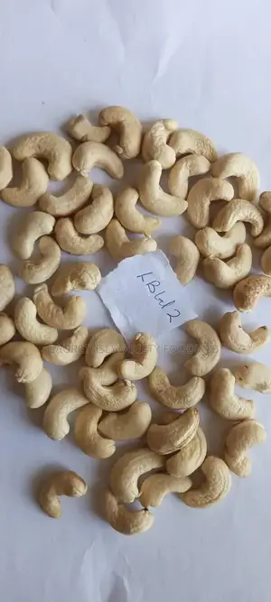 Fresh Milky Cashew Nut Karnel