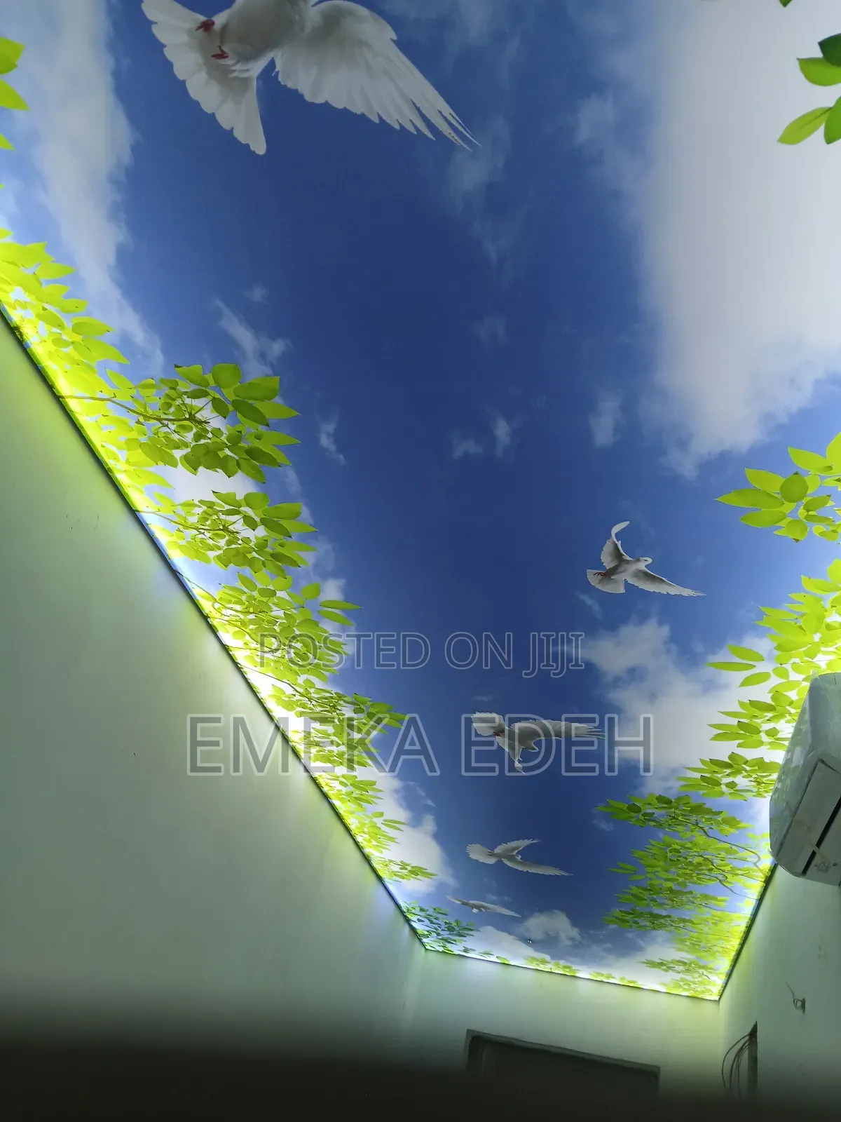 Stretch Ceiling Printed Design