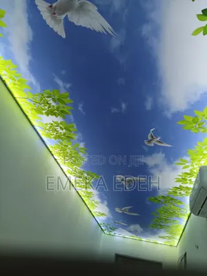 Stretch Ceiling Printed Design