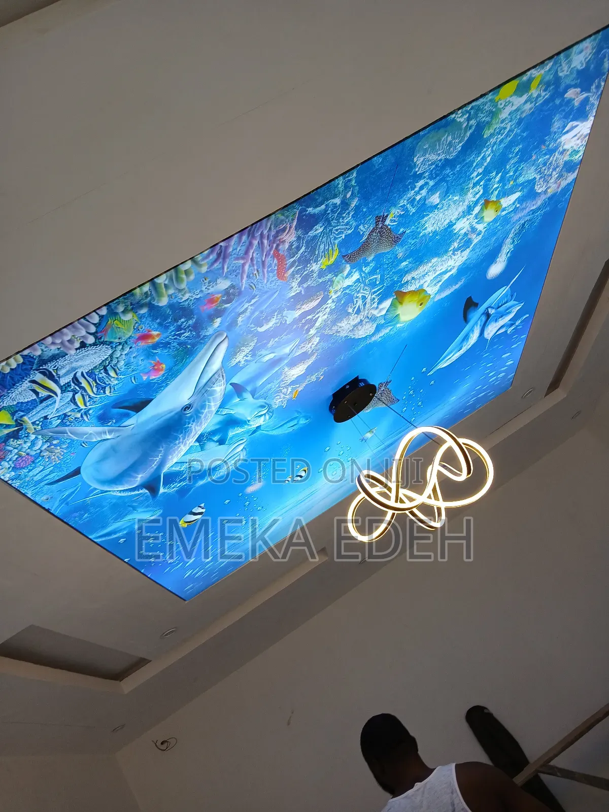 Stretch Ceiling