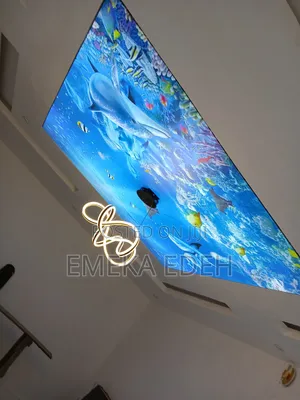 Stretch Ceiling