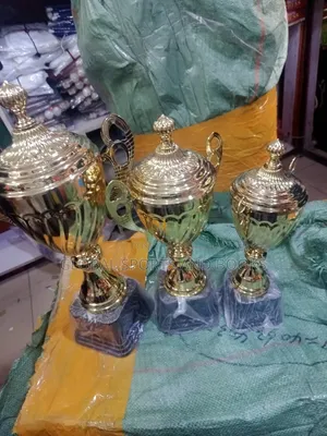 Photo - 3 Set of Trophy  Big