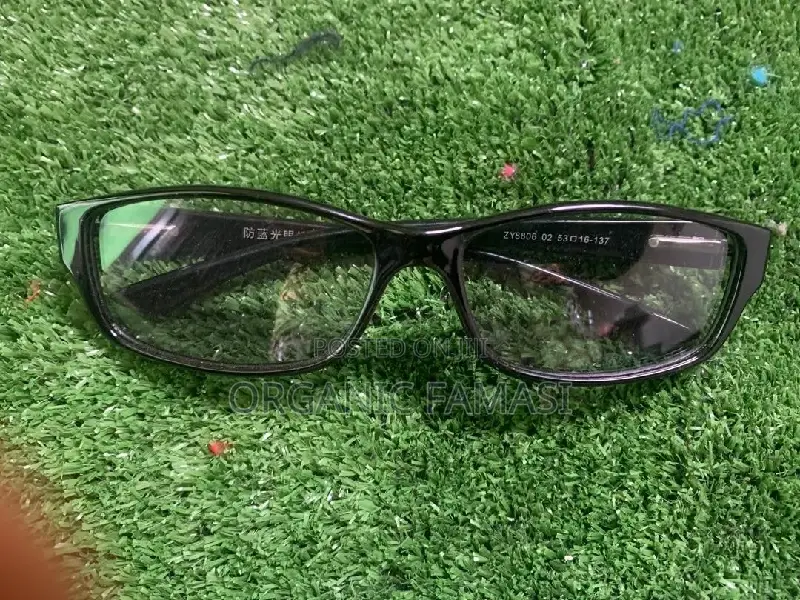Shineway Anti-Blue Ray Quantum Energy Glasses