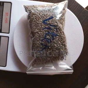 Vitex Seeds 100g