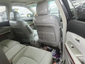 Lexus RX 350 AWD 2009 Gray