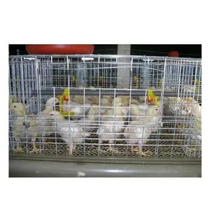 Quality 120 Broiler Battery Cages For Poultry Farming