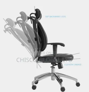 Office Chair (Orthopedic)