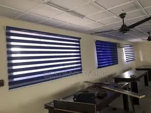 Satisfactory Day and Night Blinds