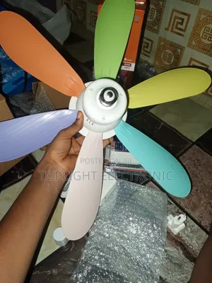 Ceiling Fan Light