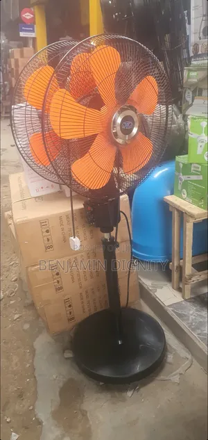 Double Headed Standing Fan