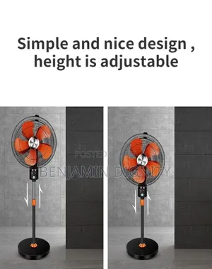 Double Headed Standing Fan