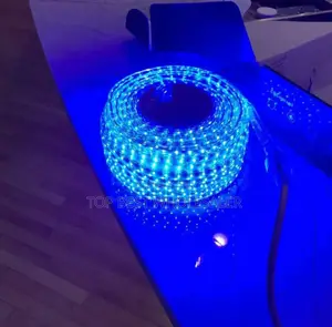 50meter Rop Light for Your Luxury Homes Pop Decore