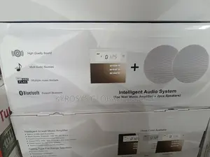 Intelligent 2IN1 Audio System With Amplifier