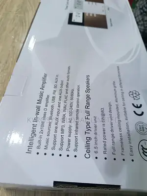 Intelligent 2IN1 Audio System With Amplifier