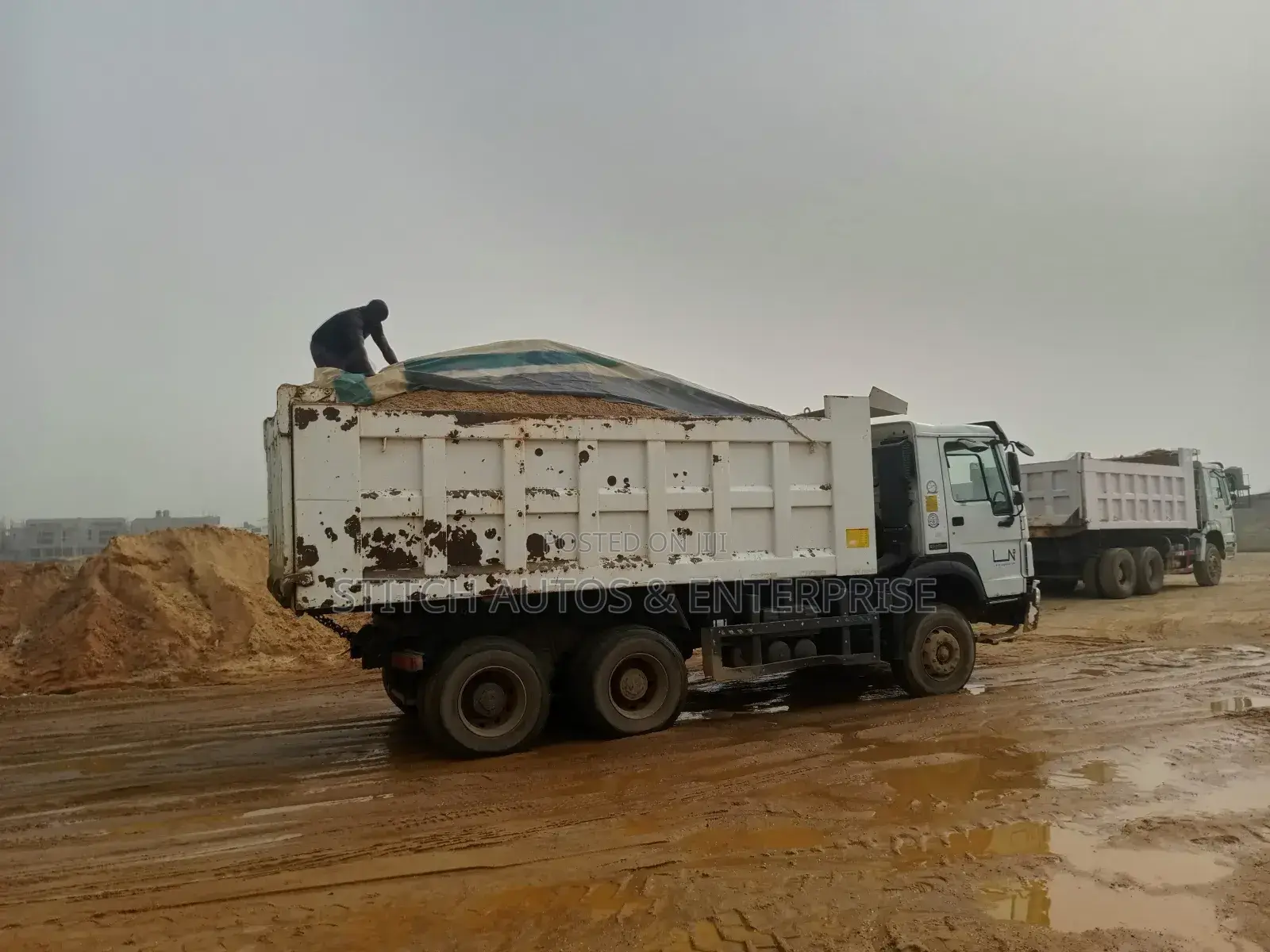 Sharp Sand Ajah