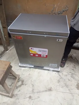 LG Freezer Model 250