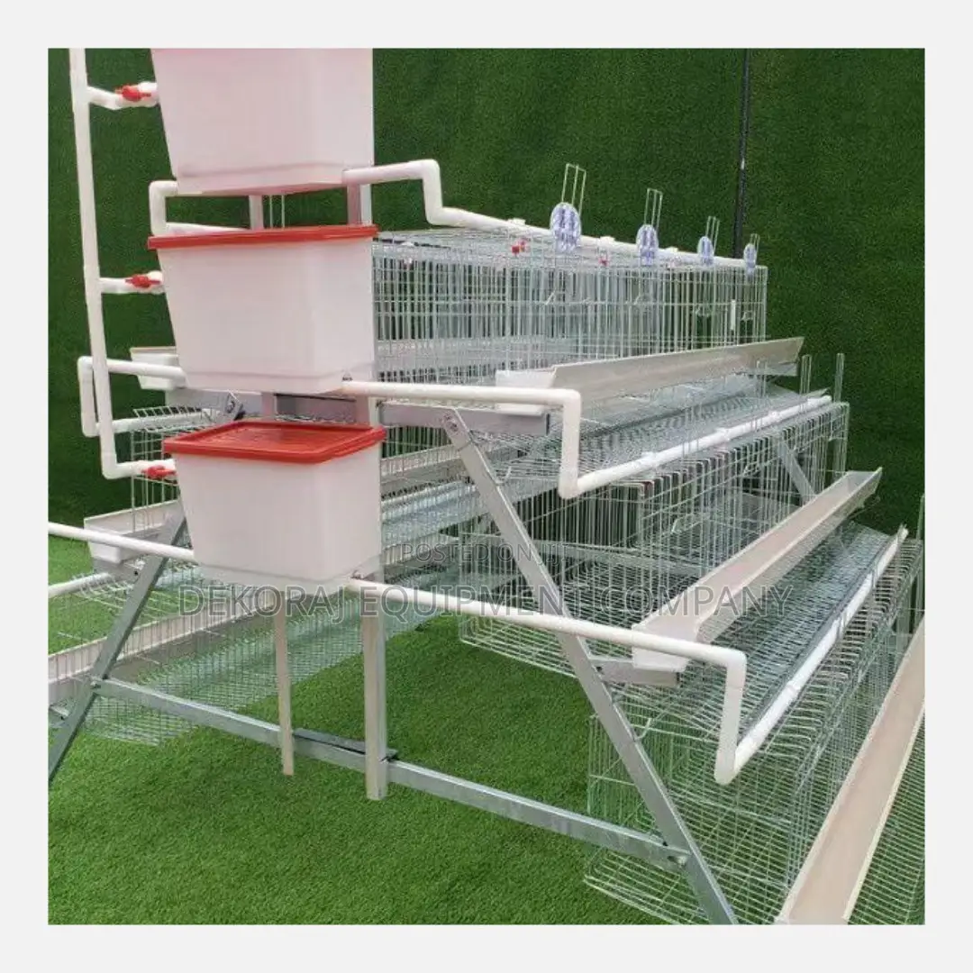 Imported Layer Battery Cage Maximize Egg Production 500bird