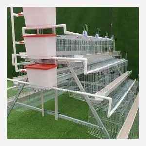 Imported Layer Battery Cage Maximize Egg Production 500bird