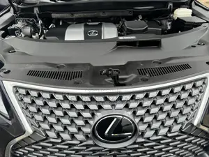 Lexus RX 350 4WD 2021 Blue