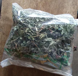 A Pack of Dandelion