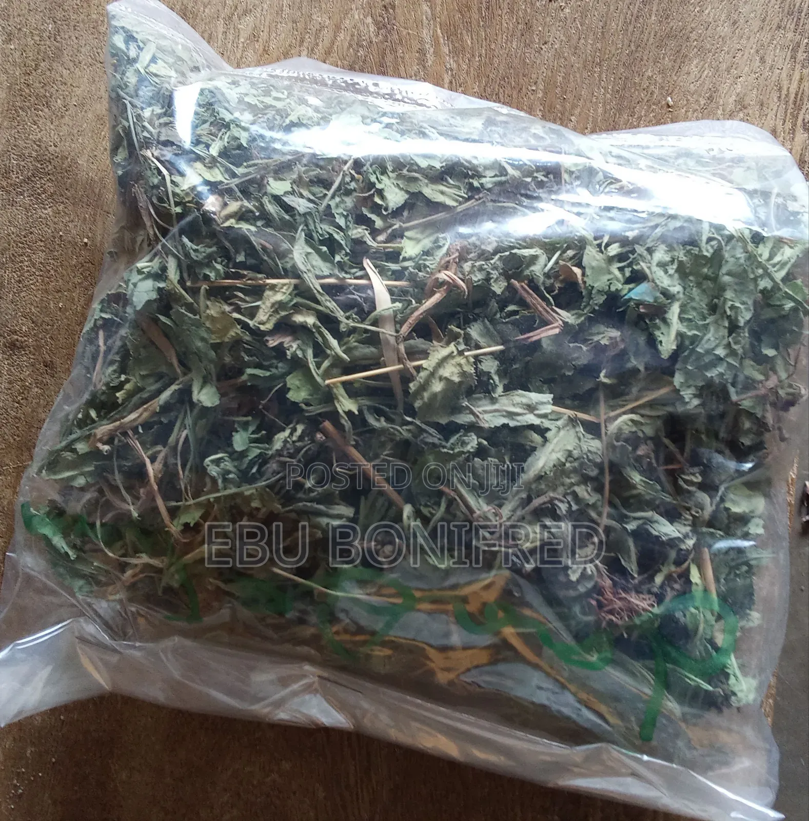 A Pack of Dandelion