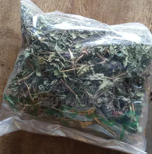 A Pack of Dandelion