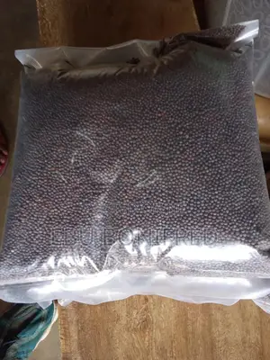 1 Kg of Mustard Seeds