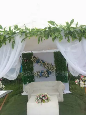 Canopy Event/Work for Lower Rate With Kiddies Event