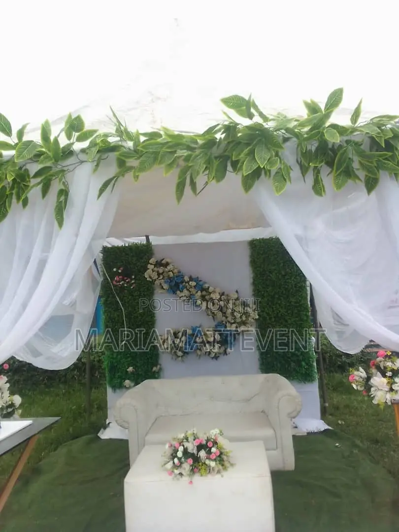 Canopy Event/Work for Lower Rate With Kiddies Event