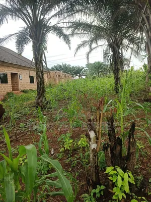 100/100 at Ekiadolor,Isihor Close to Ekiadolor Market
