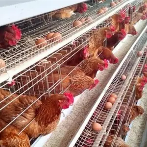 Imported Layer Cage for 120 Layers