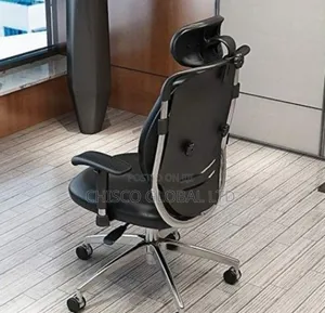 Office Chair (Orthopedic)