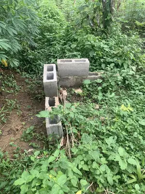 Sweet and Affordable Plot of Land in Isiokpo PH for SALE