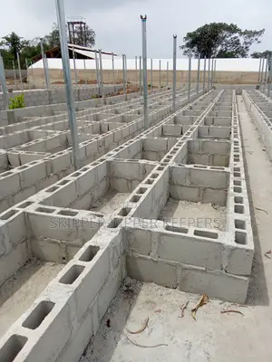 Mordern Snail House Construction
