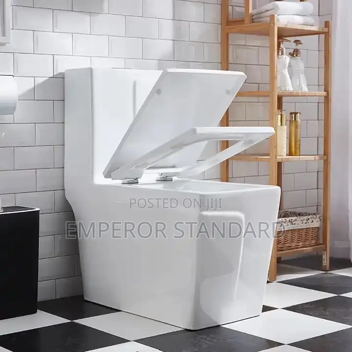Executive Water Closet W C High-Quality