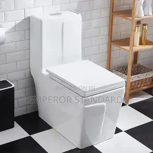 Executive Water Closet W C High-Quality