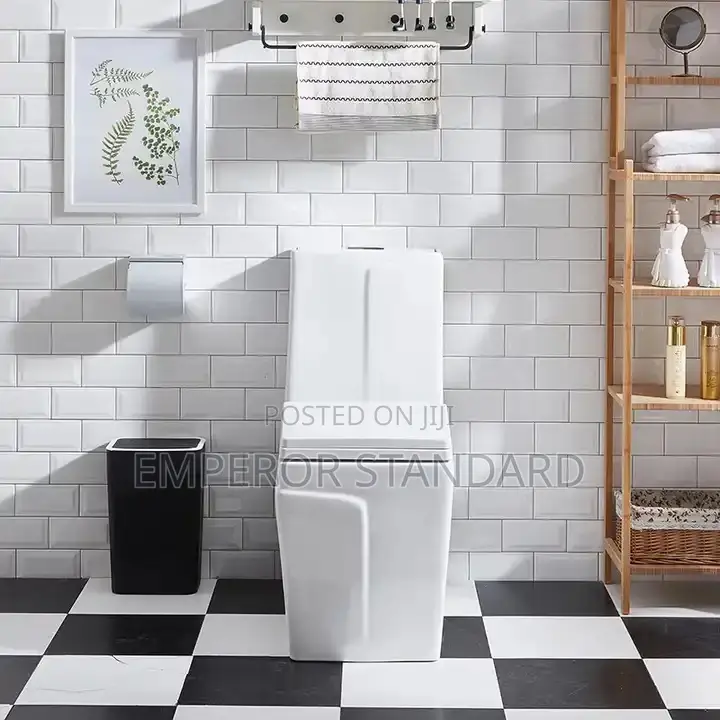 Executive Water Closet W C High-Quality