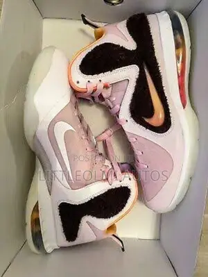 Nike Le'bron