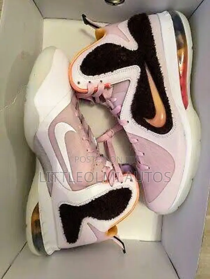 Nike Le'bron