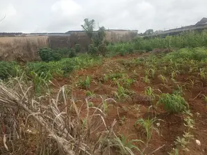 Photo - A Full Plot of Land at Off Amule Ashipa Rd Ipaja Ayobo Lagos