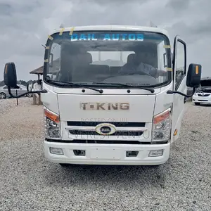Band New 5 Tons Truck