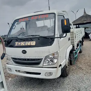 Brand New T King 4 Tons Truck 2023 White