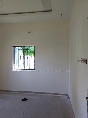 Painter Maitama Service
