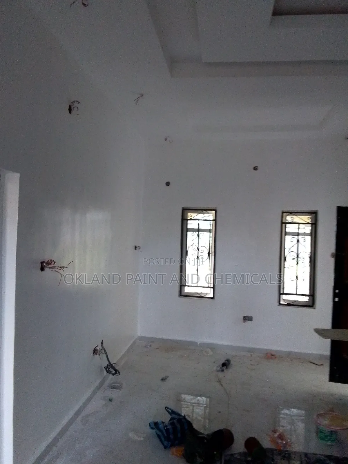 Painter Apo Painting