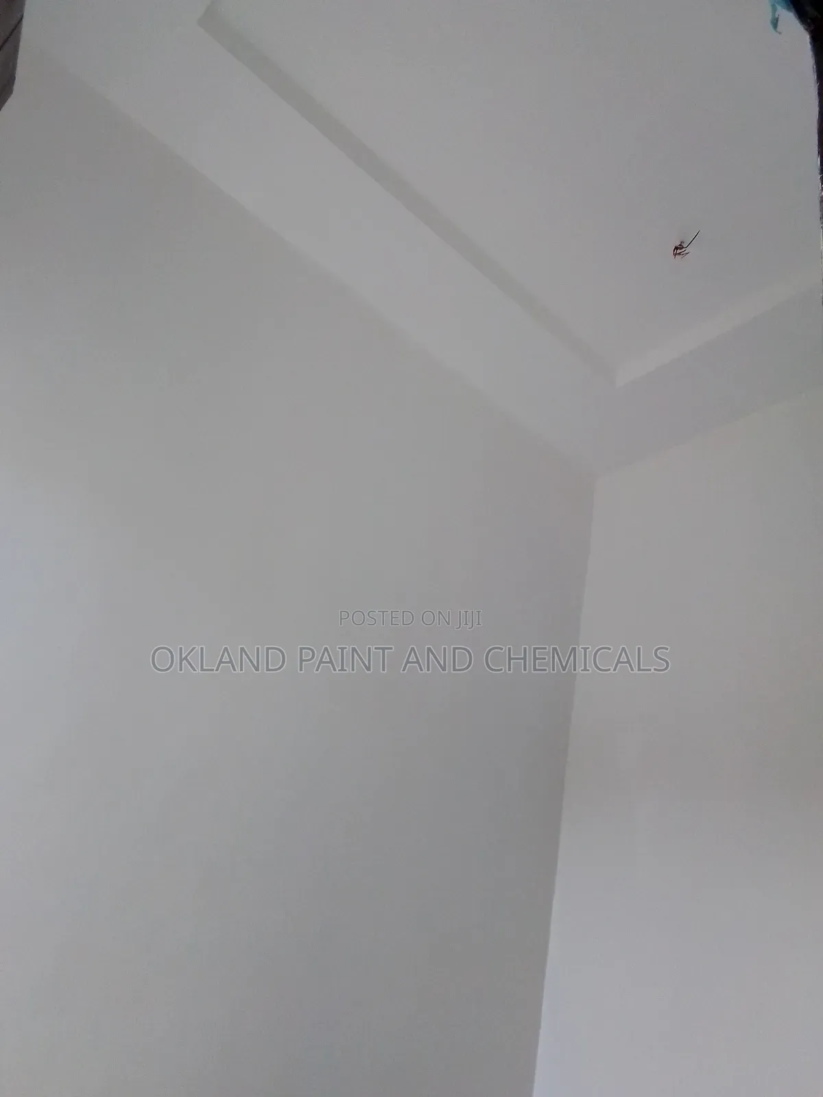 Painter Katampe