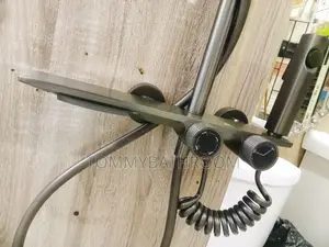 Double Round Thermostatic Ball Shower