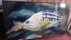 Original Hisense 65 Inch Uhd Smart TV Voice Recognition