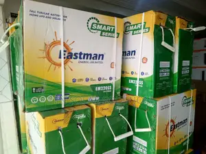 220a Eastman Tall Power Tubular Battery Available