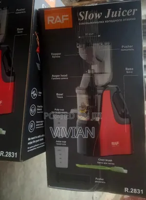 Slow Juicer